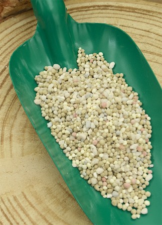 Abono cítricos 2Kg 2