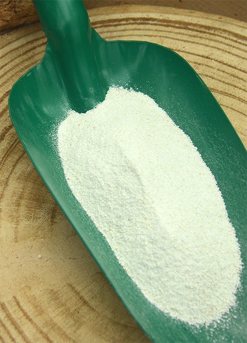 Antimusgo soluble 2Kg