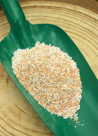 Abono para césped 2Kg 2