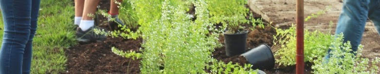 jardim