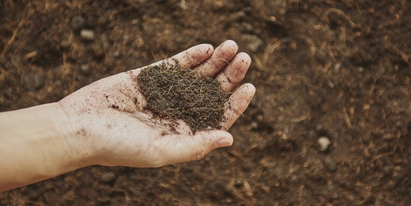 A qualidade do solo: a chave para obter as melhores colheitas