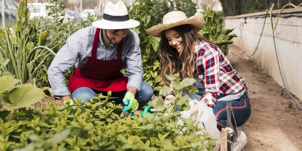 ¿Quieres tener un huerto urbano? Te contamos cómo