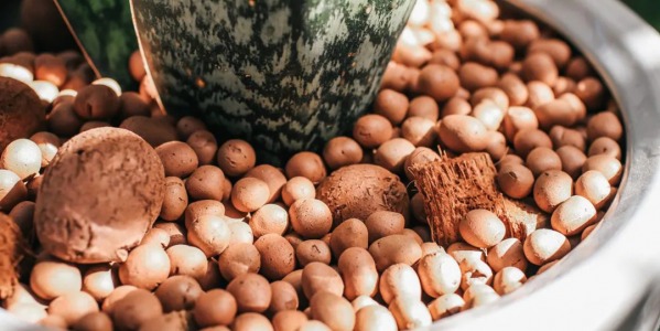 Arcilla expandida para proteger y decorar tus plantas