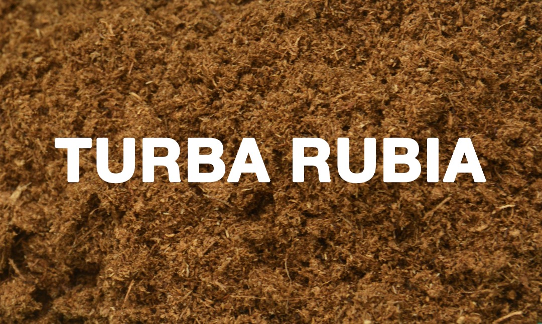 Qué es la turba rubia y cuál es su función